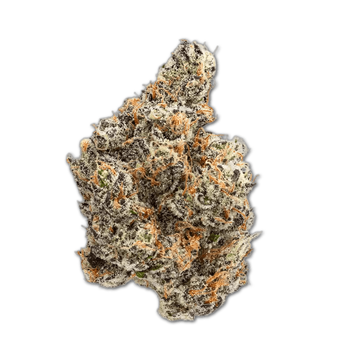 Craft Emerald 27:01 Governmint Oasis