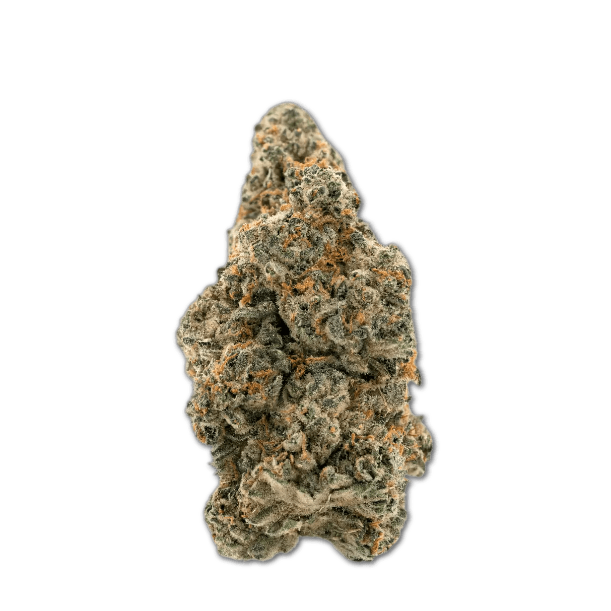 Demecan Core Golden Horizon 31:01 Golden Goat