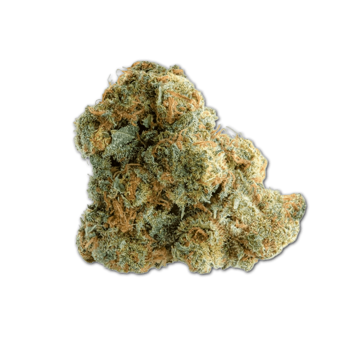 27/1 Amici AS Atomic Sour Grapefruit