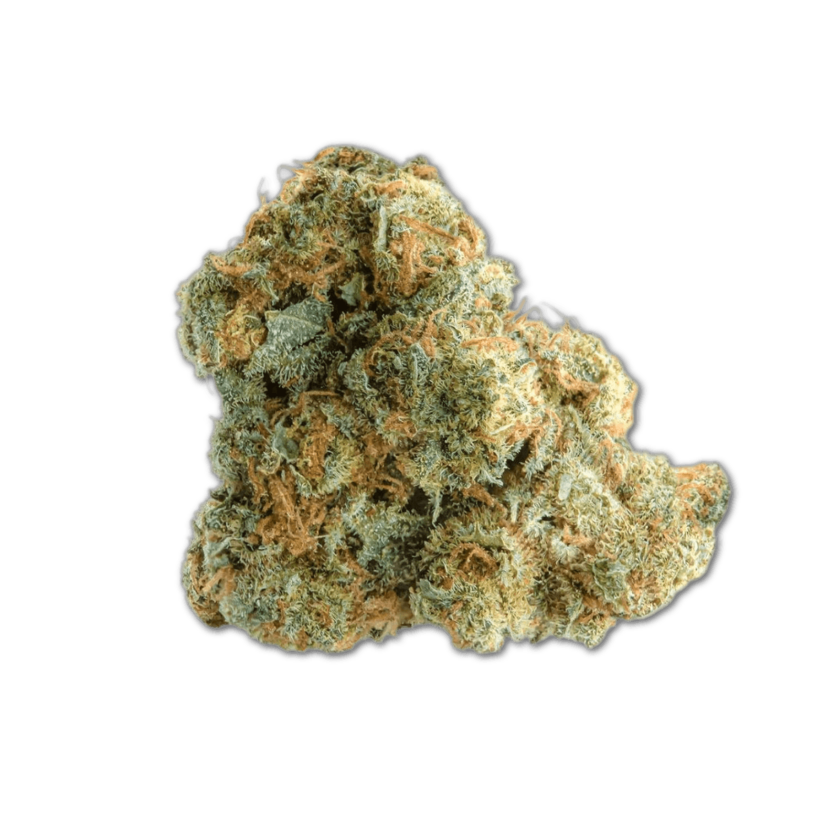 29/1 Amici AS Atomic Sour Grapefruit