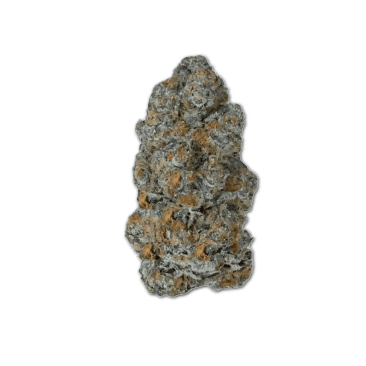 Demecan Craft Magister 26/1 BM Black Marker