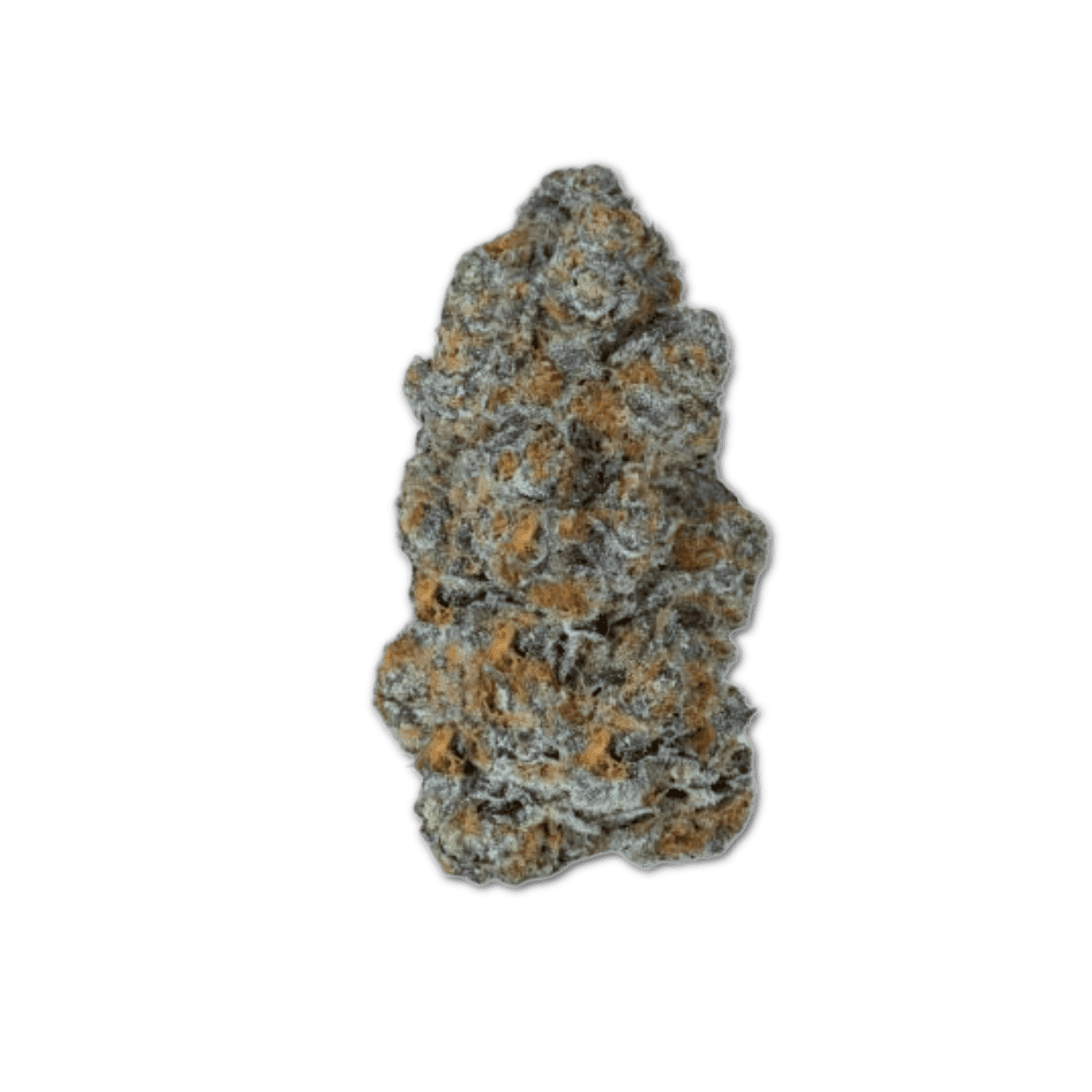 Demecan Craft Magister 24/1 BM Black Marker