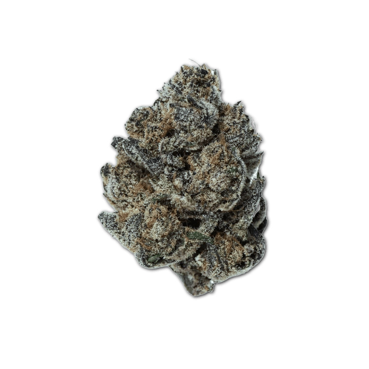 Remexian 24/1 MCS CGR Cool Grapes