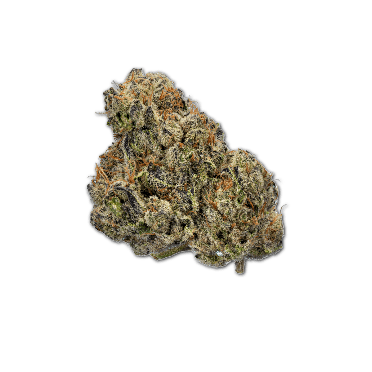 enua 20/1 CDG CA Crispy Doughnut