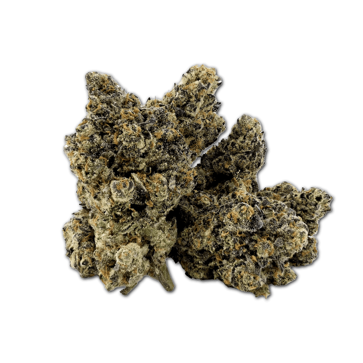 20/1 IUVO OC Lazer Fuel