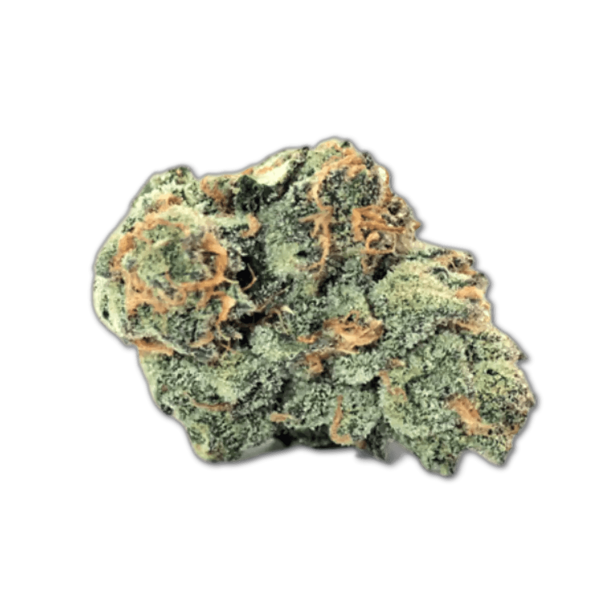 Demecan Core OZK x CC 24:01 OZ Kush x Coffin Candy