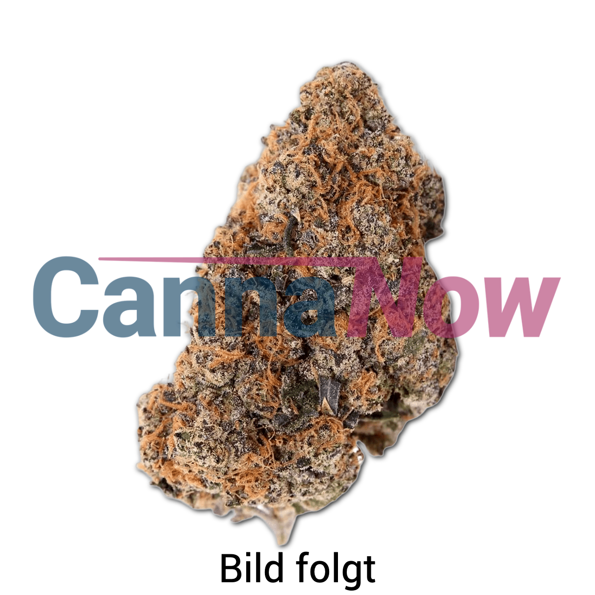  NEDCANN DSD 25/01 Original Blitz